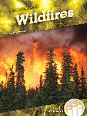 cover image of Wildfires